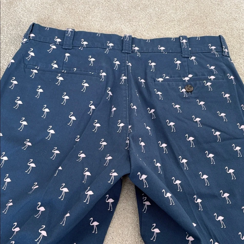 J. Crew Shorts